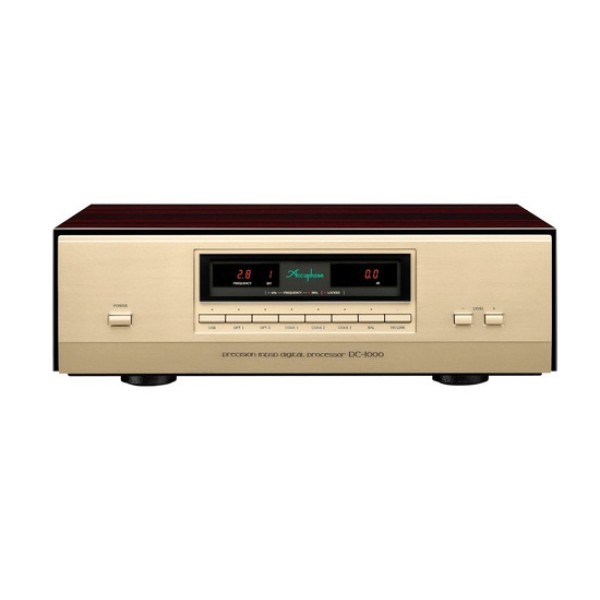 Accuphase DC-1000 PRECISION MDSD DIGITAL PROCESSOR