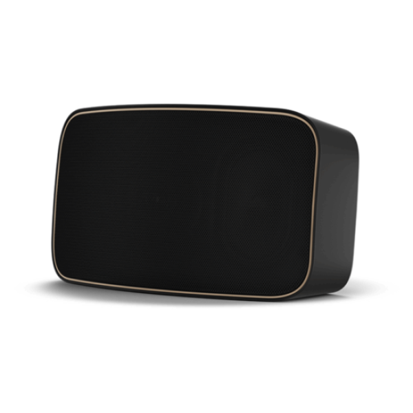 Dali Gardian OW 6 Black