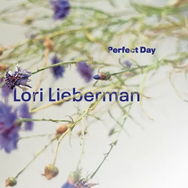 Lori Lieberman - Perfect Day (ONE STEP) / 45RPM LP LowSwing Records