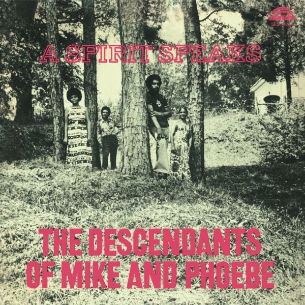 The Descendants Of Mike & Phoebe - A Spirit Speaks / LP Pure Pleasure
