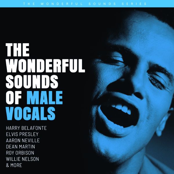 The Wonderful Sounds of Male Vocals / CD Analogue Productions